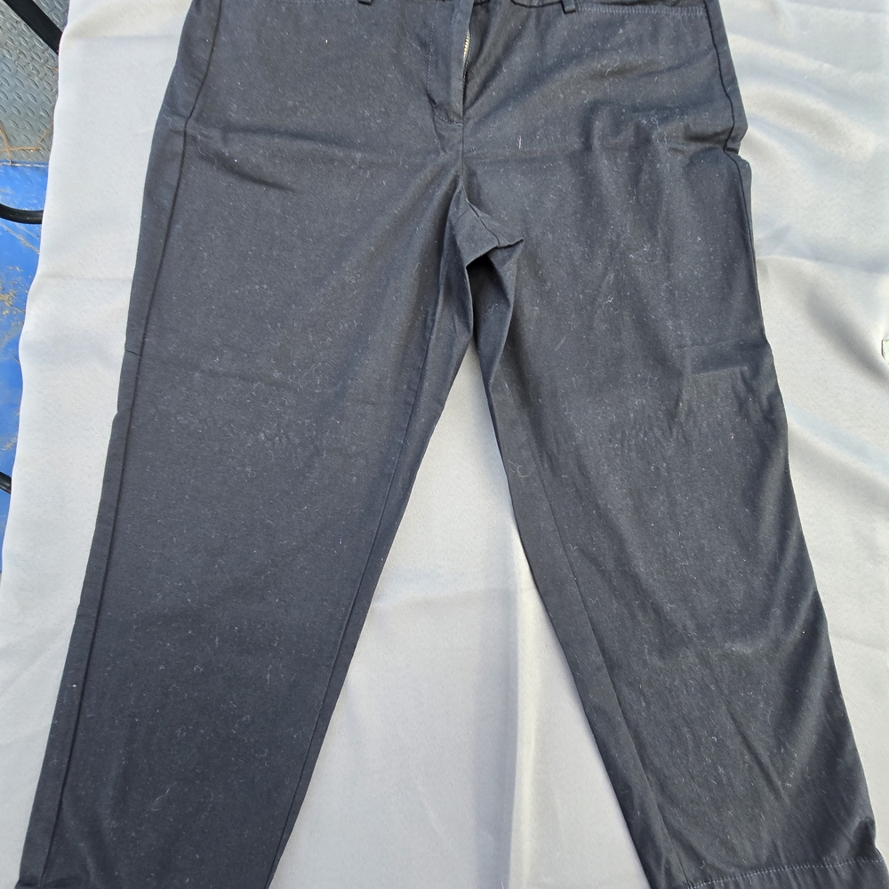 Ann Taylor Loft Original Crop Black Women's Trousers 10